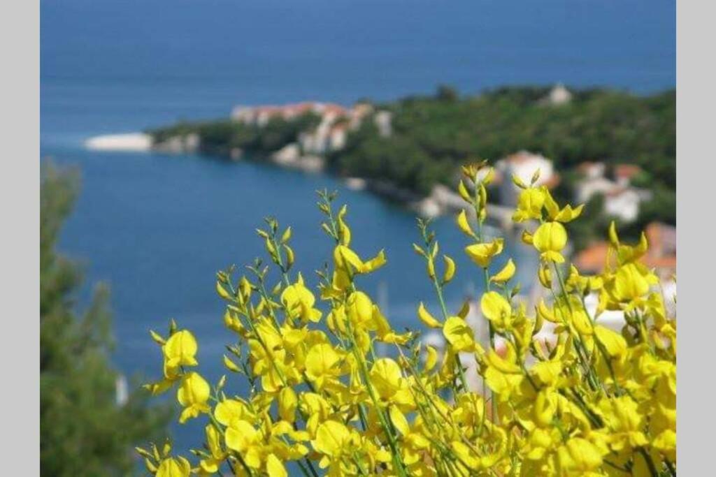 Seaview Apartment Sparkle Iskra - Povlja, Brac Povlja  Esterno foto